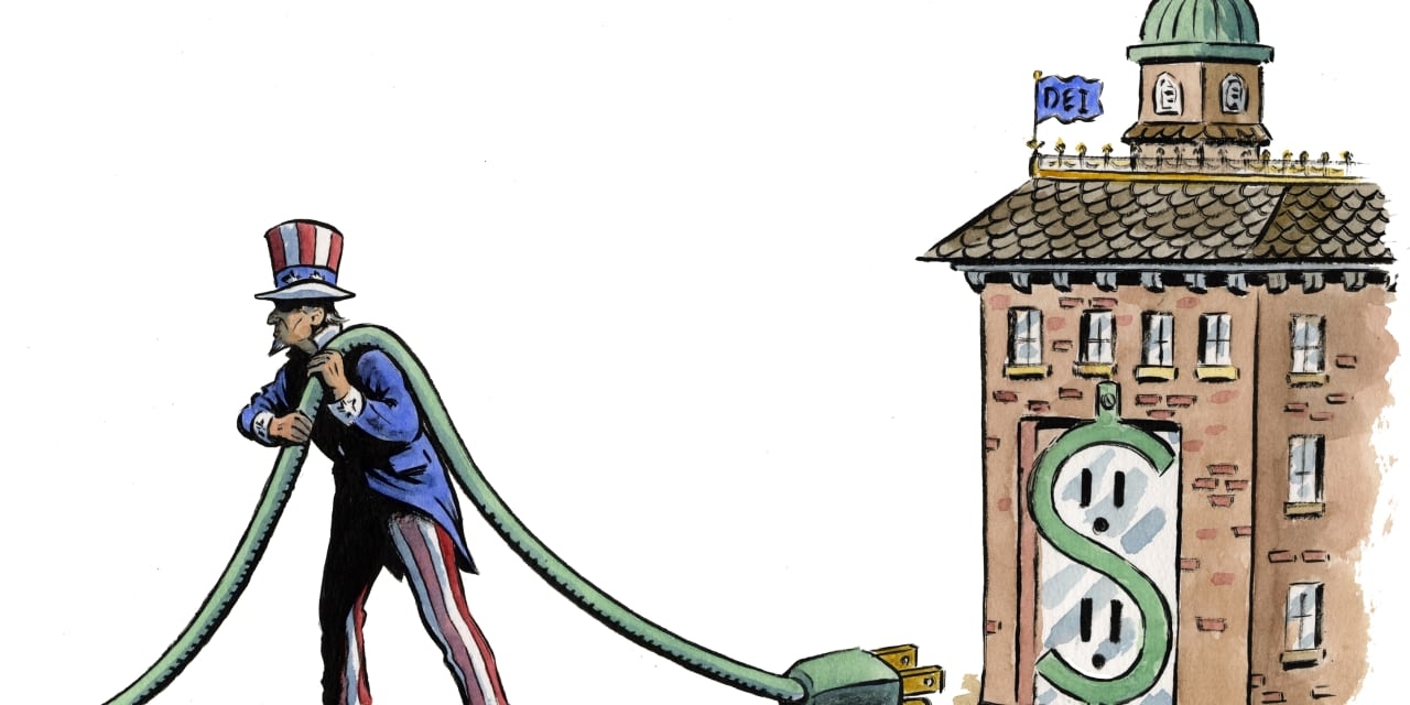 DEI and the State Department