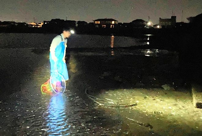 Night crabbing faces ban on Chiba coast after excessive hauls