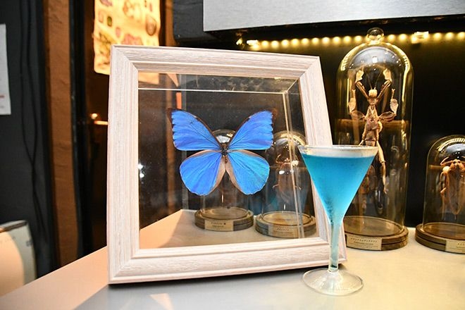 Entomologist flying high with insect-themed bar in Shinjuku