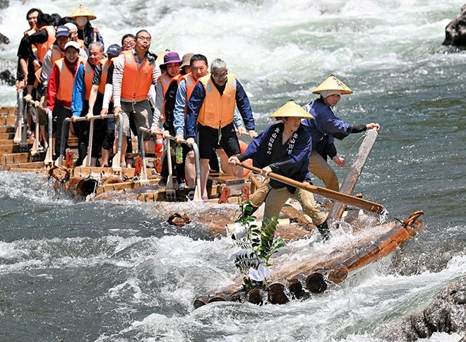 Log rafting on Wakayama river definitely not for the faint-hearted