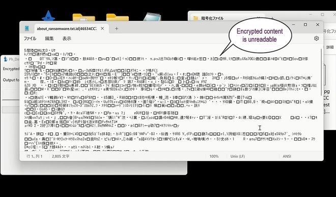 NPA develops tool to restore data encrypted by Phobos/ 8Base