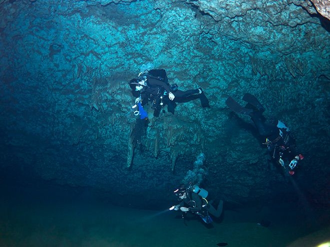 Submarine caves in Okinawa offer treasure trove of new species
