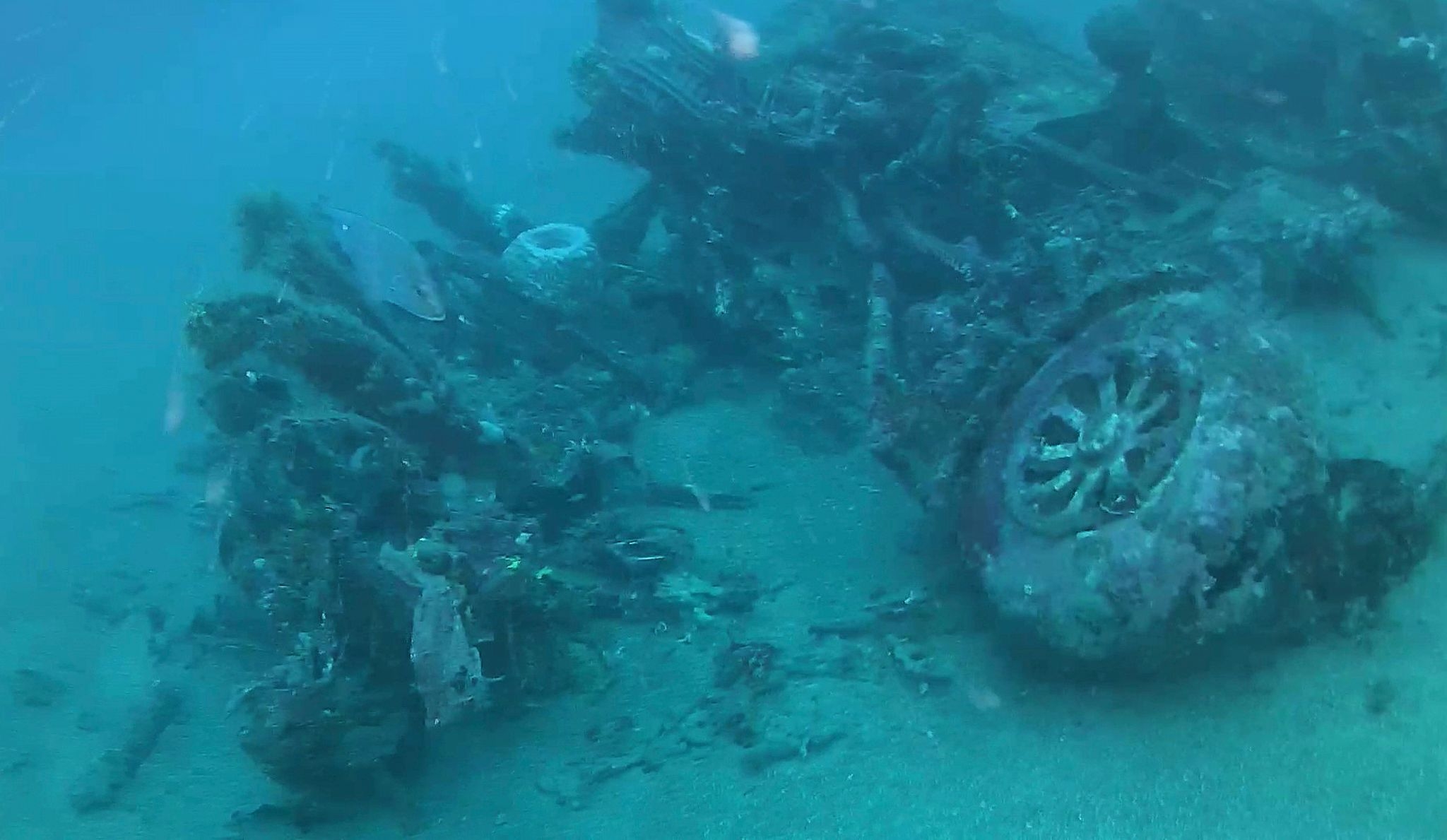 WWII bomber crash left 11 dead and ‘non-recoverable.' 4 are finally coming home