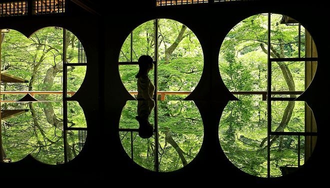 An artful way to show off green maple leaves at studio in Kyoto