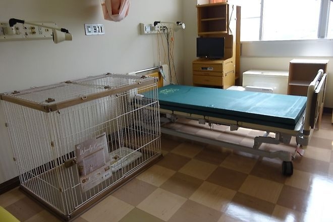Gifu hospitals allow inpatients to stay with their dogs for healing