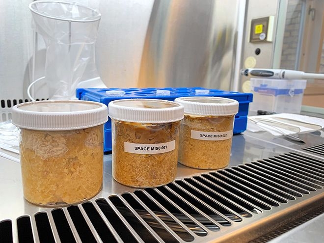 Miso produced in 1st fermentation attempt in space tasted 'nuttier'