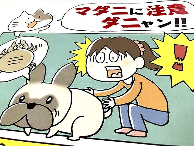 1st tick-borne virus infection of pet dog reported in Ibaraki