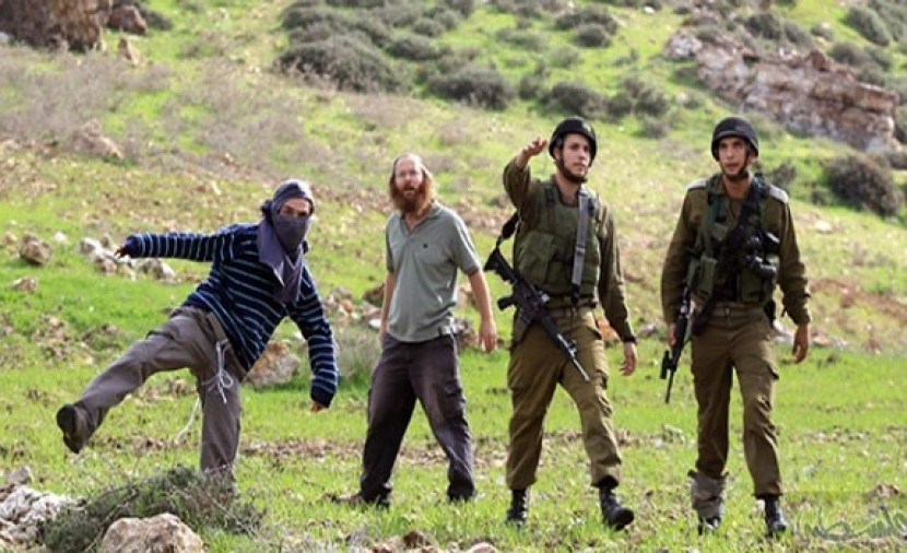إصابة عشرات الفلسطينيين في هجومين منفصلين للمستوطنين  بالضفة