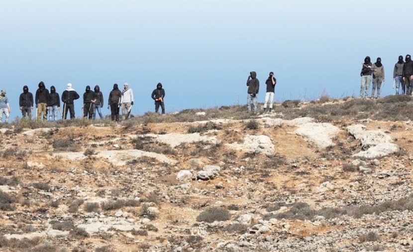 مستوطنون يعتدون على ممتلكات المواطنين في "شلال العوجا" بأريحا