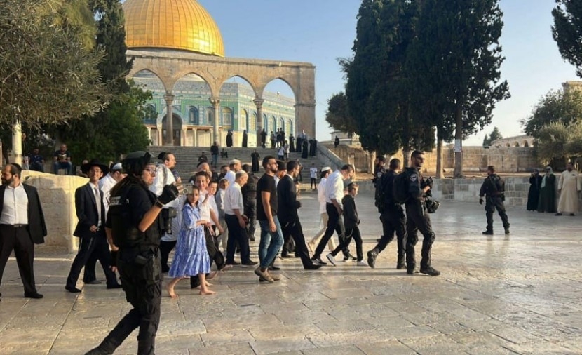 284 مستوطنًا يقتحمون باحات الأقصى