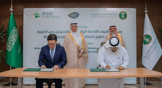 شركة توقع اتفاقية مع شركة كورية لتوطين إنتاج تقاوي البطاطس الهدف؟ تقليل استيرا
