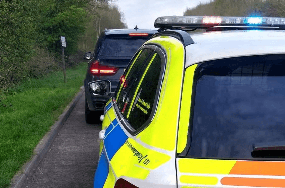 Sofa distributor banned after driving with seven times the cannabis limit