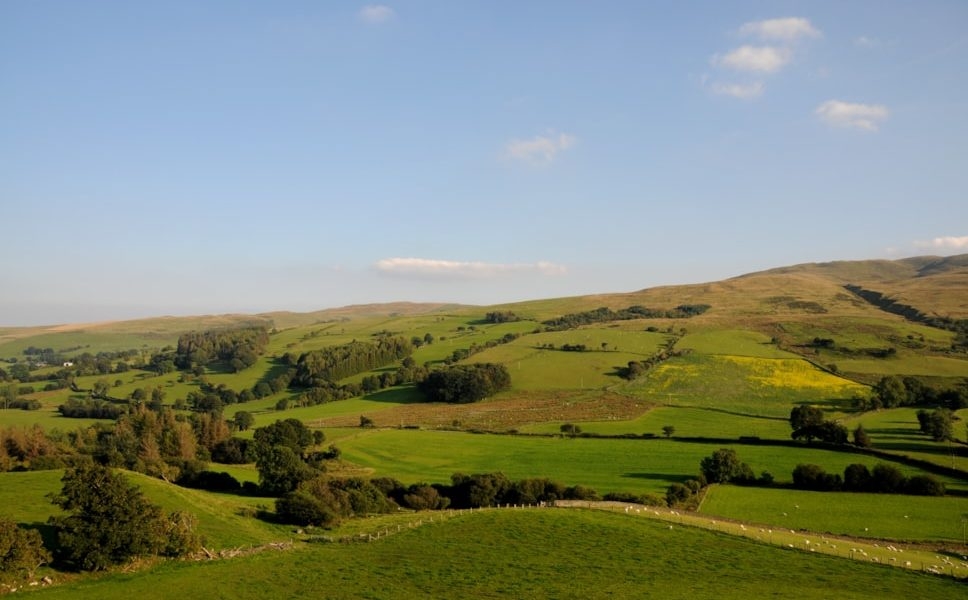 FUW and MP call for fairer treatment of farmers in supply chains
