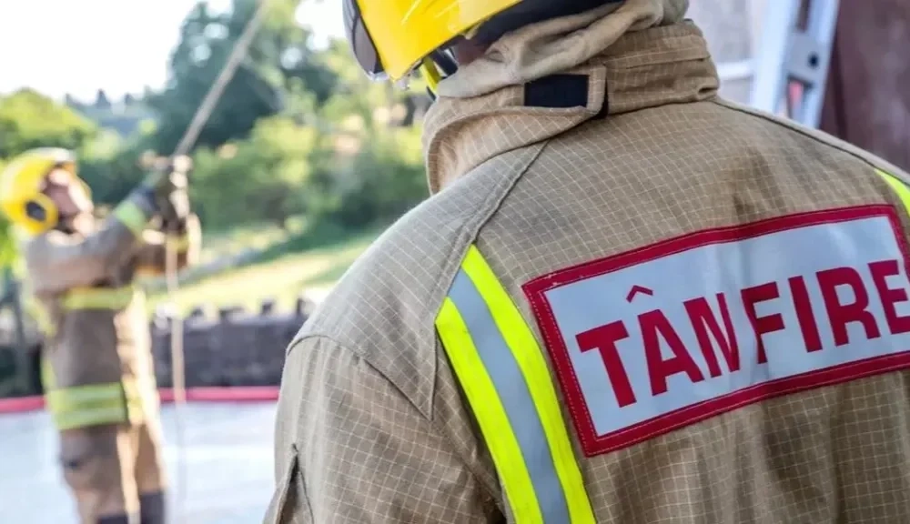 Senedd demands action to protect firefighters from cancer risks