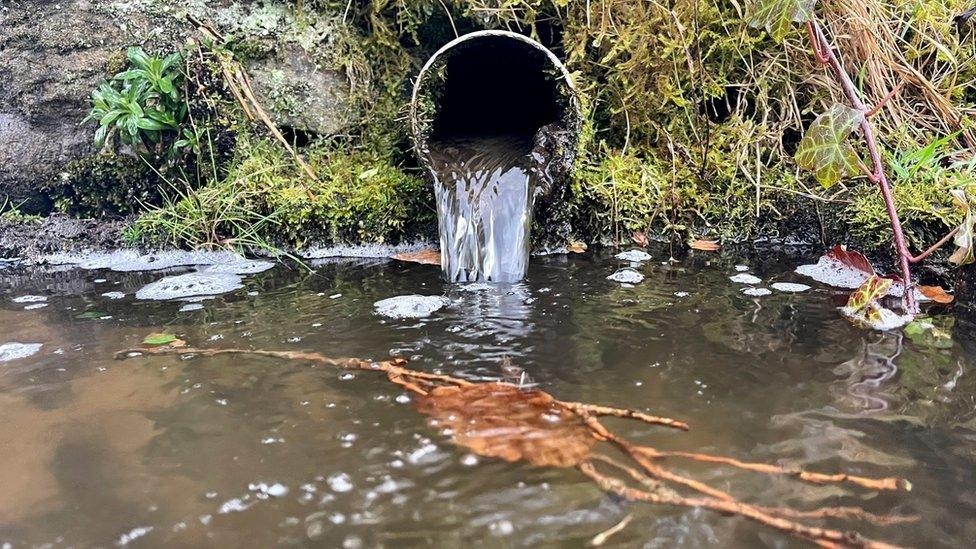 Welsh Water fined £1.35m for widespread sewage permit breaches
