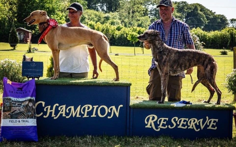 Dog lovers gather in Martletwy to support Wales Air Ambulance