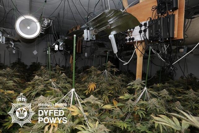 Trio jailed over cannabis farm ordered to pay back just £1 each