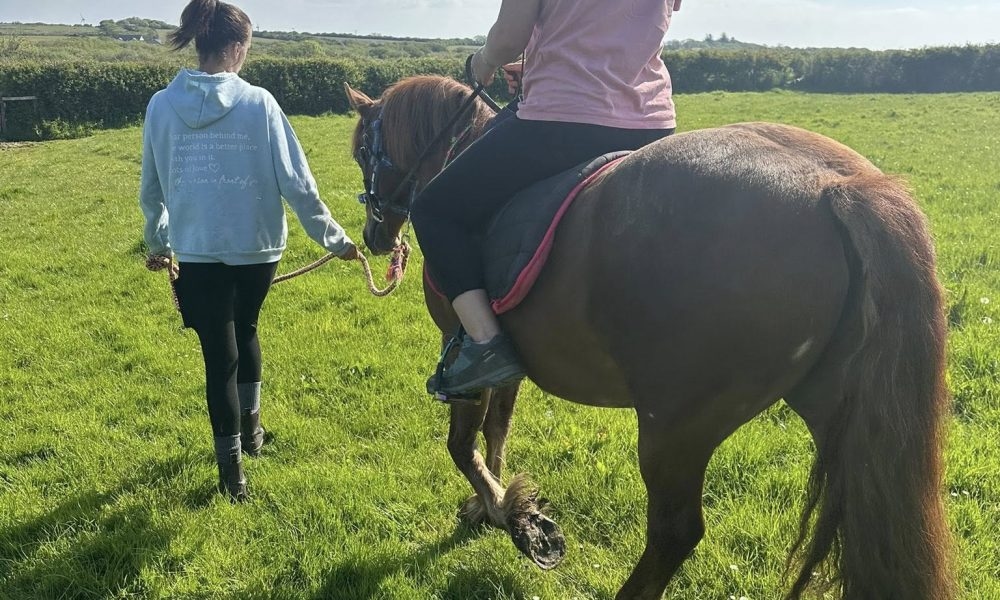 Jess's Horse Haven: A new riding school with heart opens near Haverfordwest