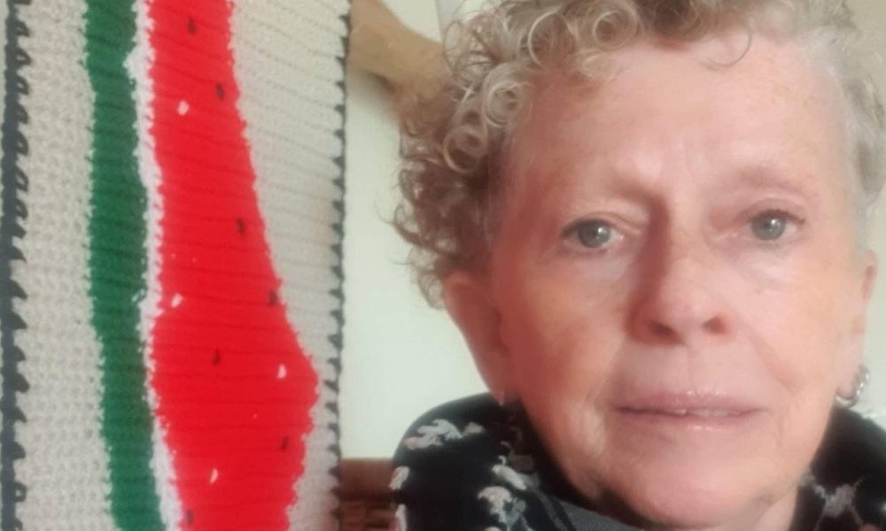 Swansea activist detained in Israel after standing with threatened West Bank villagers