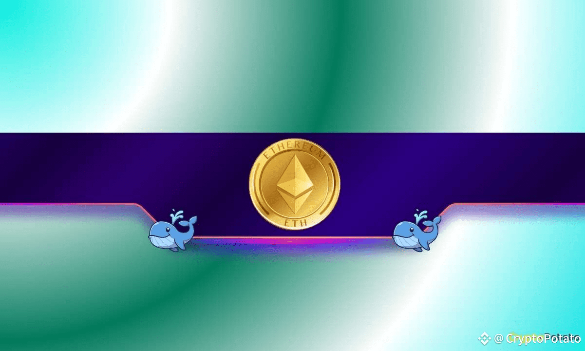 Ethereum Whales Increase Holdings by 200,000 ETH in 48 Hours