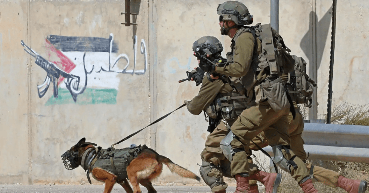كلاب الموت: هولندا تصدّر كلاب هجوم إلى إسرائيل لاستخدامها في تعذيب الفلسطينيين