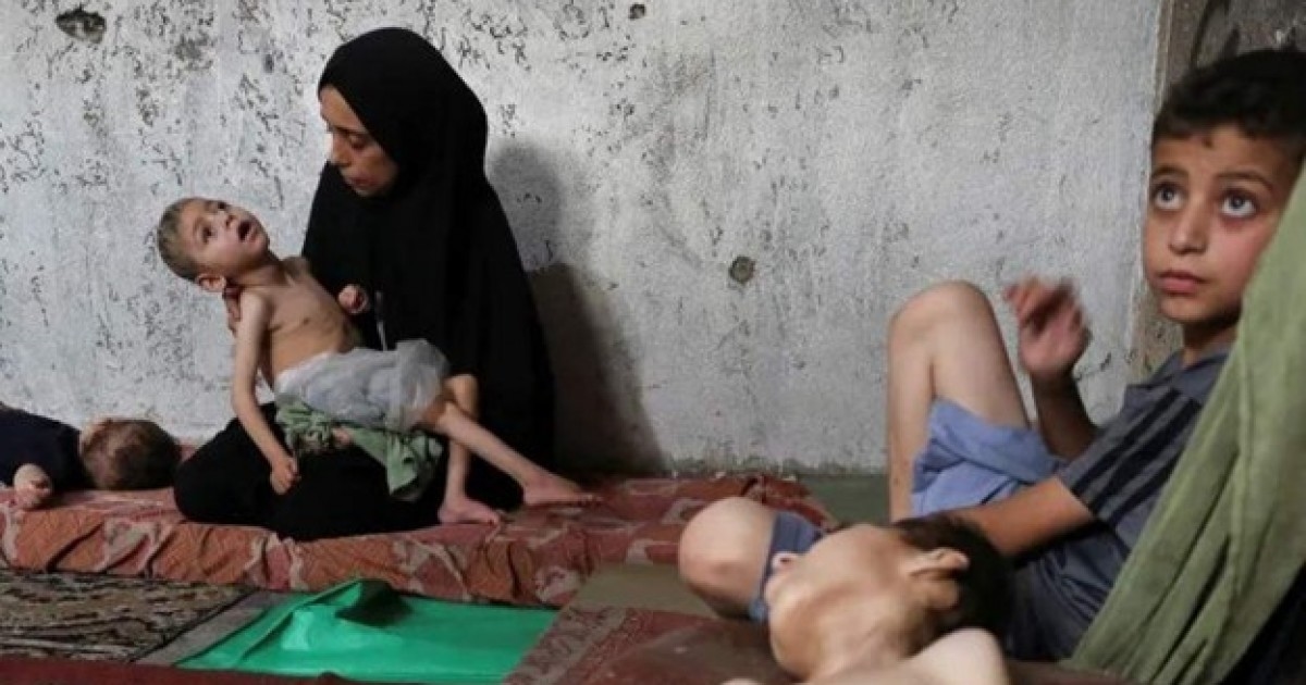 شهادات من قلب حرب التجويع في غزة: حياة تستمر على الماء والملح