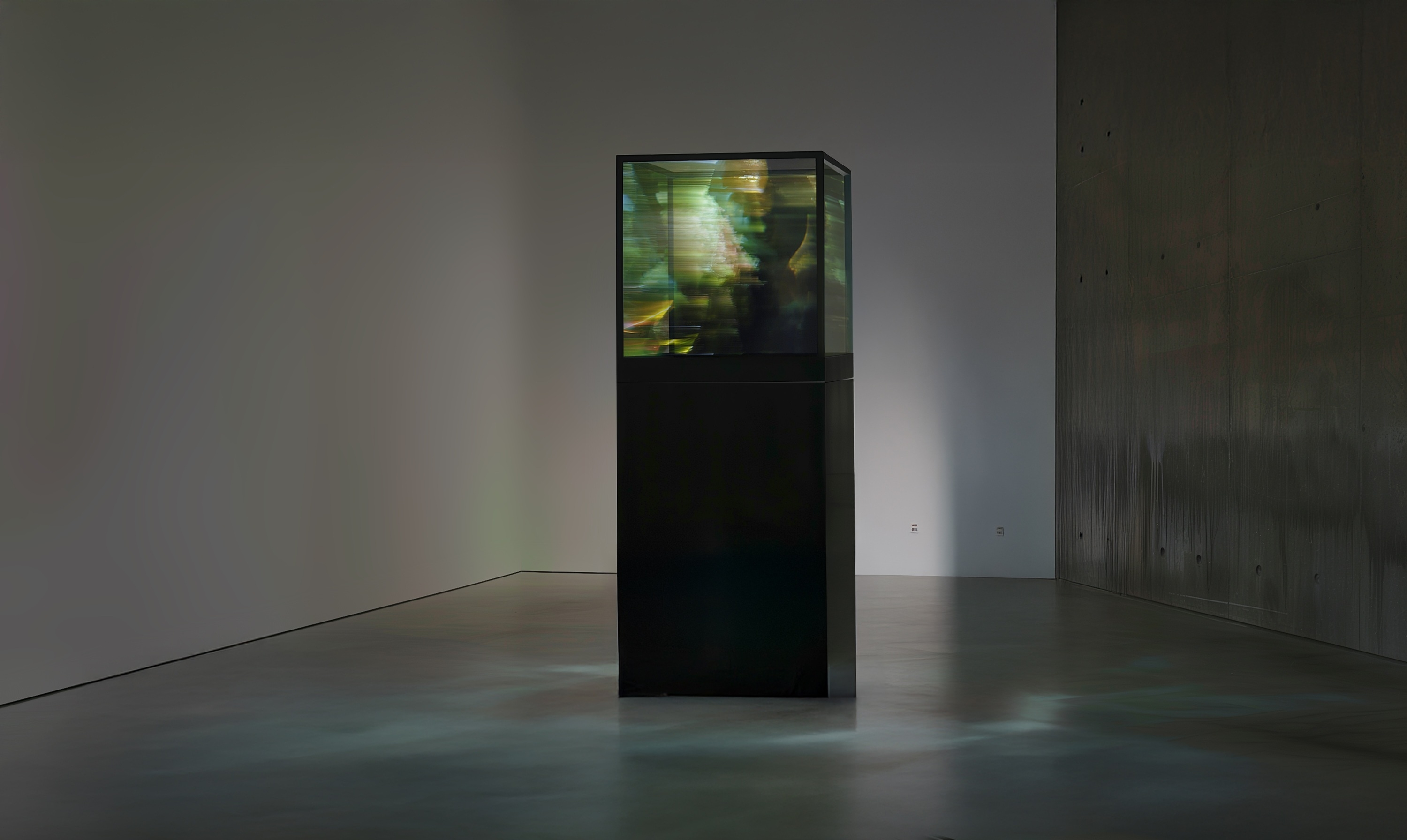 HOFA Gallery and PhillipsX Presents SPACES II: Capturing the Ephemera at Phillips' Asia Headquarters in Hong Kong's West Kowloon Cultural District