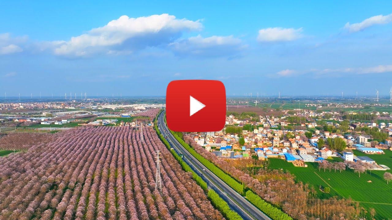 The Answer in a tree: Practices of Environmental Governance and Industrial Development in Lankao, Henan