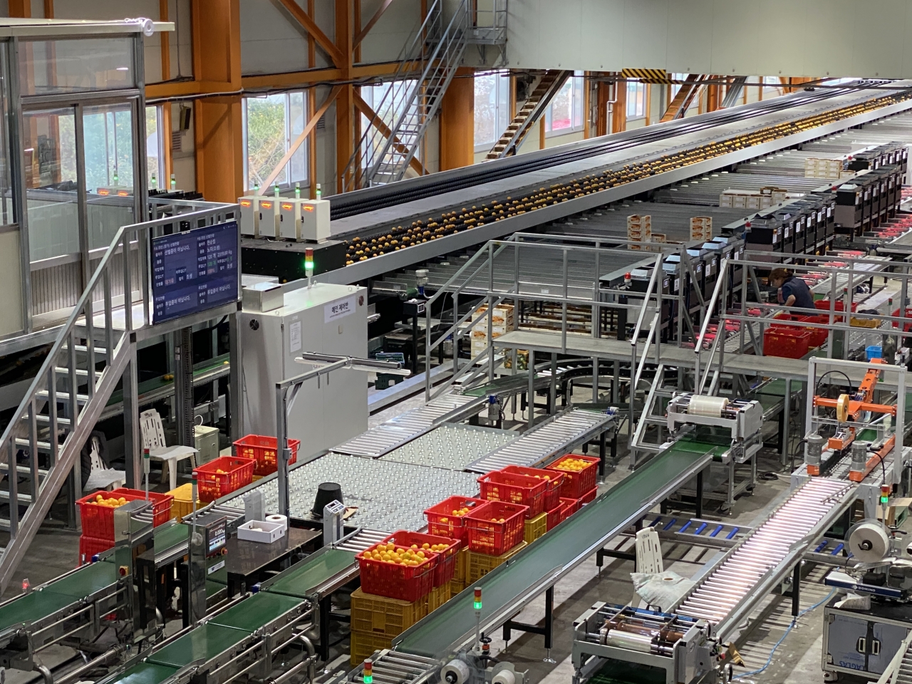 [From the Scene] Climate change threatens Jeju's mandarin orange business