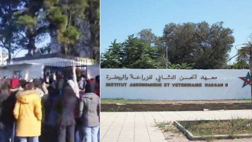 مسؤول معين من طرف الملك يروج لمقاطعة منتجات مغربية بمعهد الزراعة بسبب إسرائيل