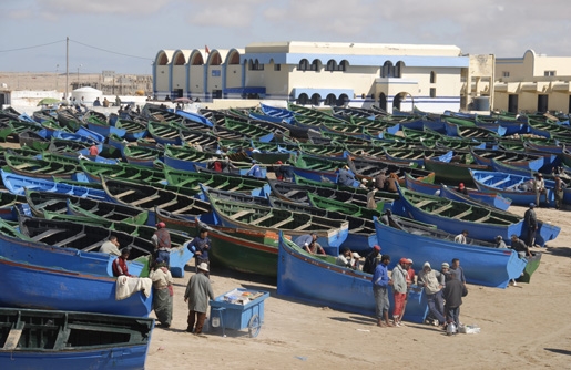 بعد فشل الدريوش.. رئيس الحكومة يتدخل لحل أزمة الصيد التقليدي بجهة الداخلة