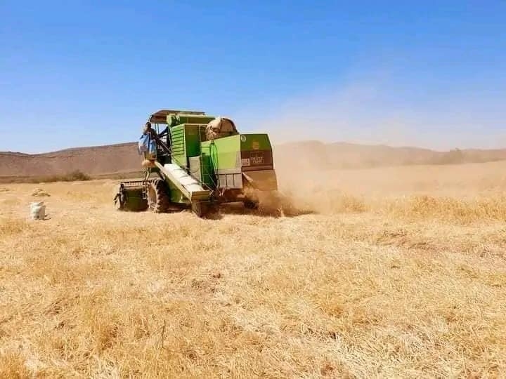 الحصاد يخلف مصرع شخصين بورزازات وسطات