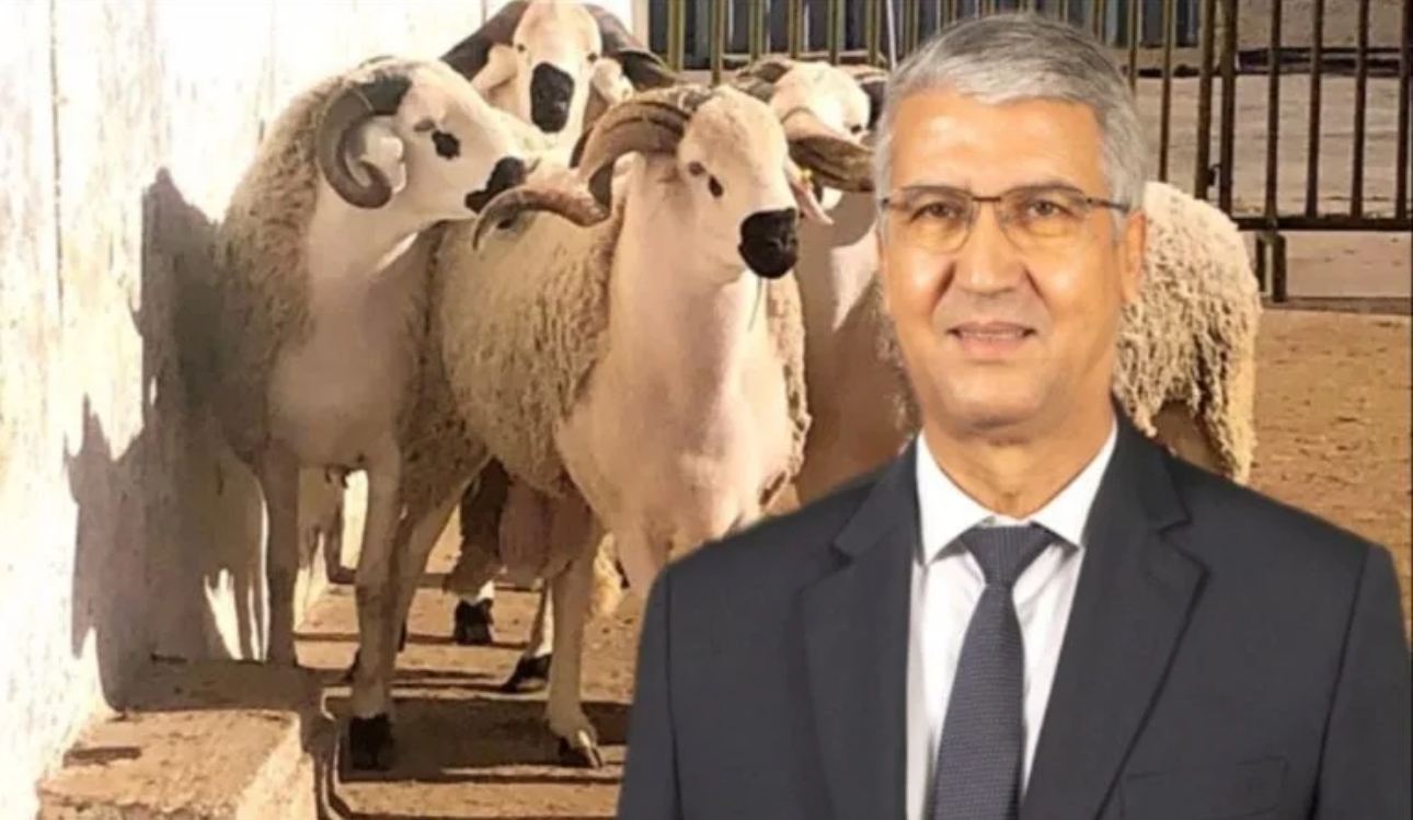 المغاربة يطالبون بمحاكمة وزير الفلاحة السابق 'صديقي' الذي فشل في حماية القطيع الوطني ومراقبة المستوردين