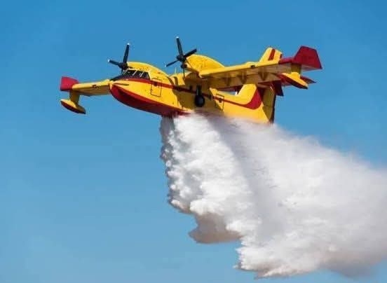 المغرب يجهز طائرات Canadair على الحدود الشرقية لمواجهة أسراب الجراد الصحراوي