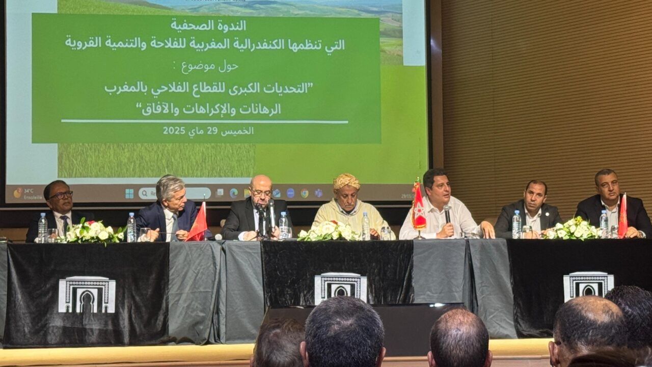 بنعلي يفند مزاعم بيجدي: آلاف الفلاحين استفادوا من دعم الطماطم