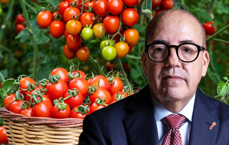 مبيدات تهدد سمعة الفلاحة المغربية المصدرة إلى الخارج والبواري خارج التغطية
