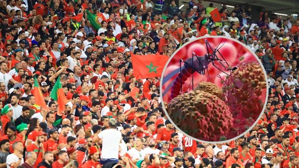وزارة الصحة تحين 'بروتوكول الملاريا المستورد'.. هل يتخذ المغرب إجراءات خاصة خلال كأس أفريقيا ؟