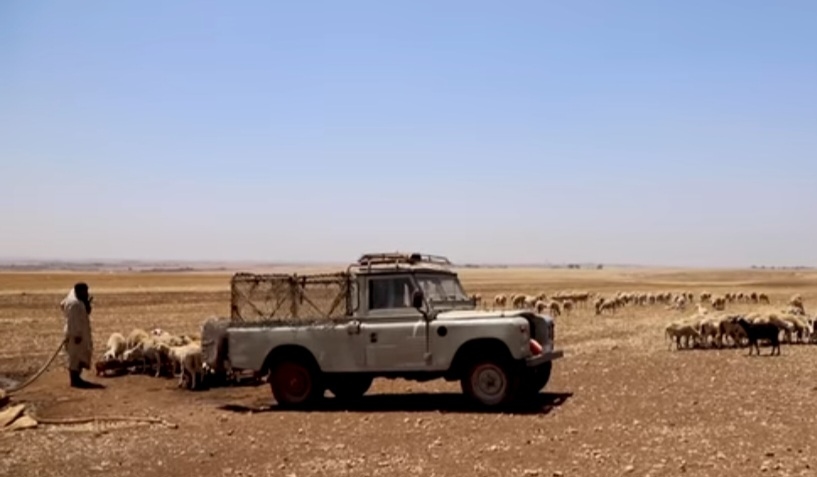 وزارة الفلاحة تهمّش كسابة العيون وتقصيهم من الدعم