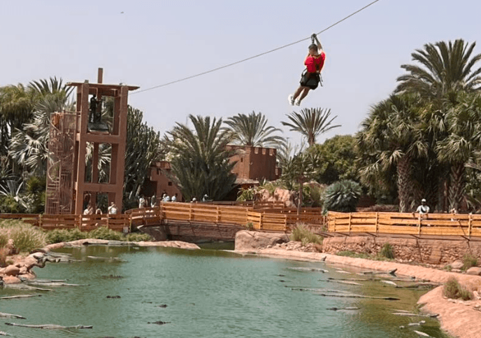 حديقة التماسيح بأكادير تهدد الأرواح