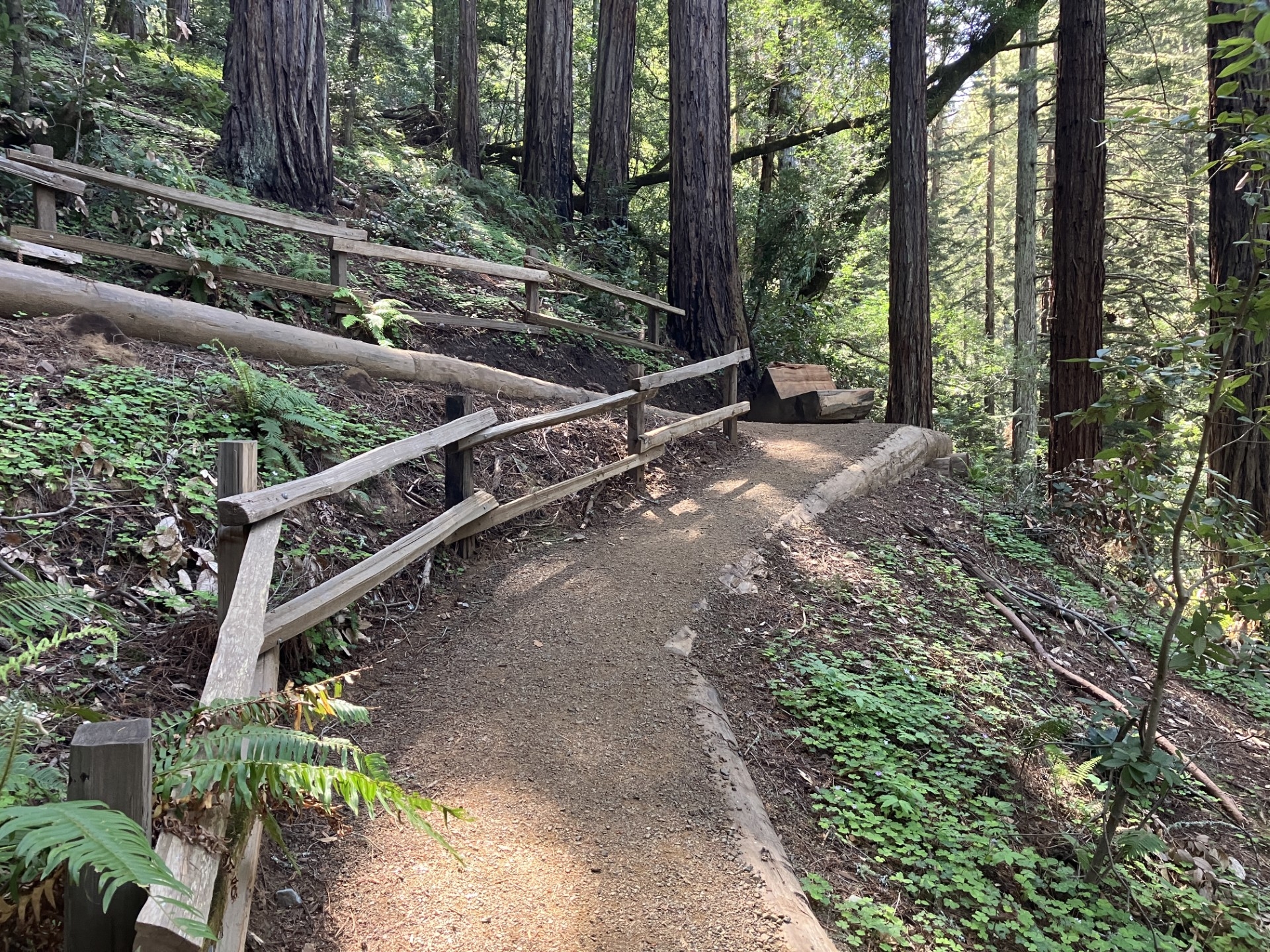 Muir Woods hiking trail reopens after $1.8 million ‘historic style' restoration
