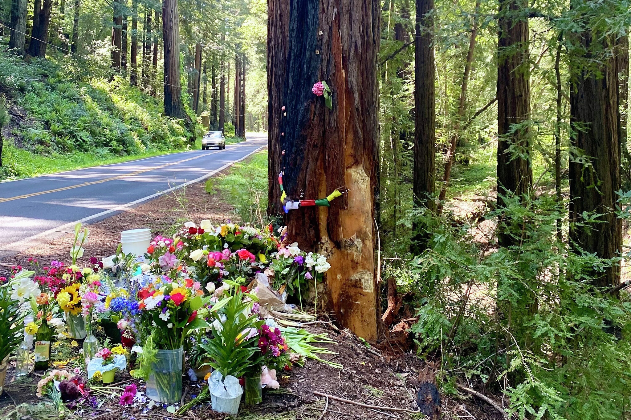 Deadly Marin crash: Investigators to rely on SUV's ‘black box' to re-create every second