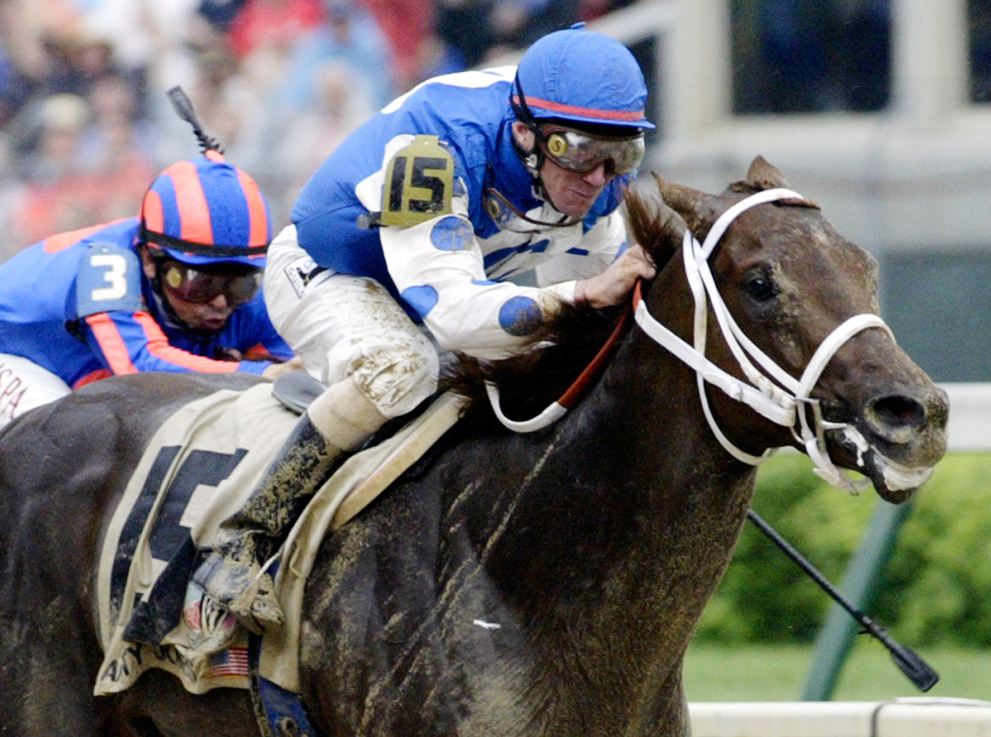 Smarty Jones captured hearts on the 2004 Triple Crown trail. He's been elected to the Hall of Fame