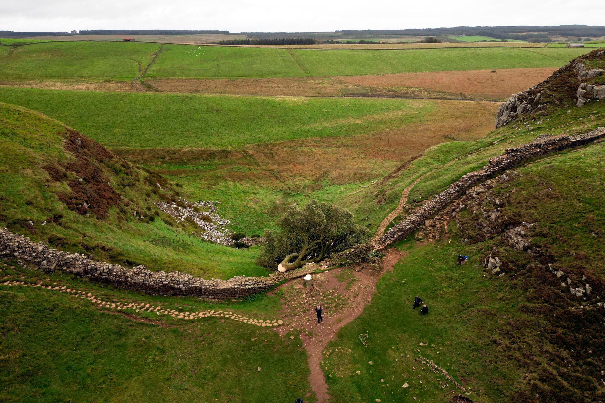 UK trial told Sycamore Gap tree felling was a 'deliberate and mindless' act
