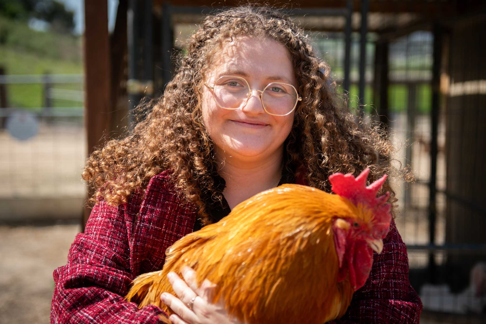 This California student could go to prison for taking four chickens. Was it a crime or a ‘rescue'?