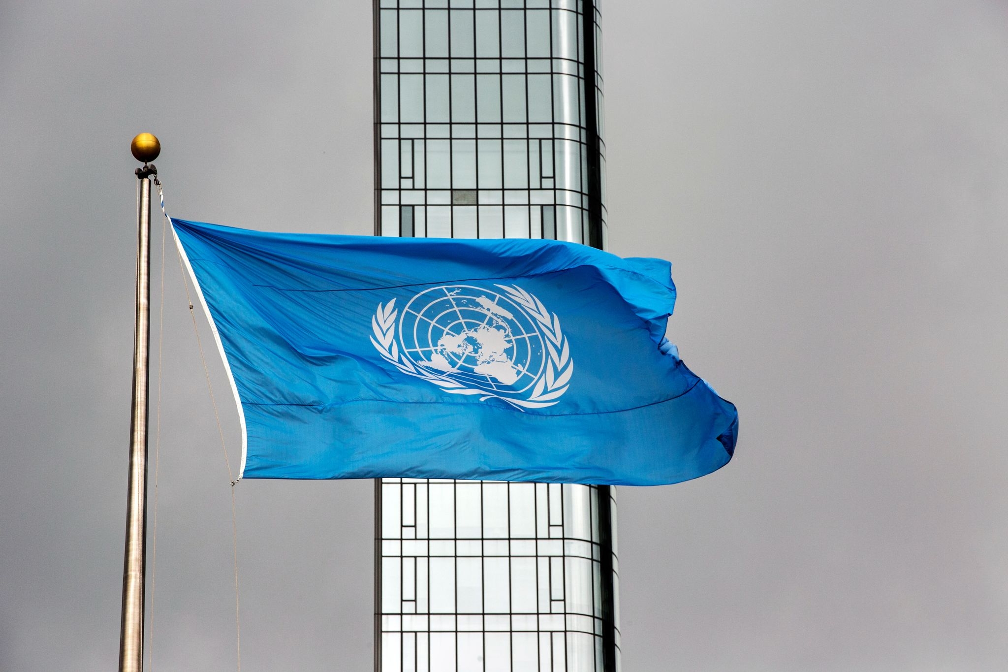 North Korean defectors urge the UN to hold the country's leader accountable for rights abuses