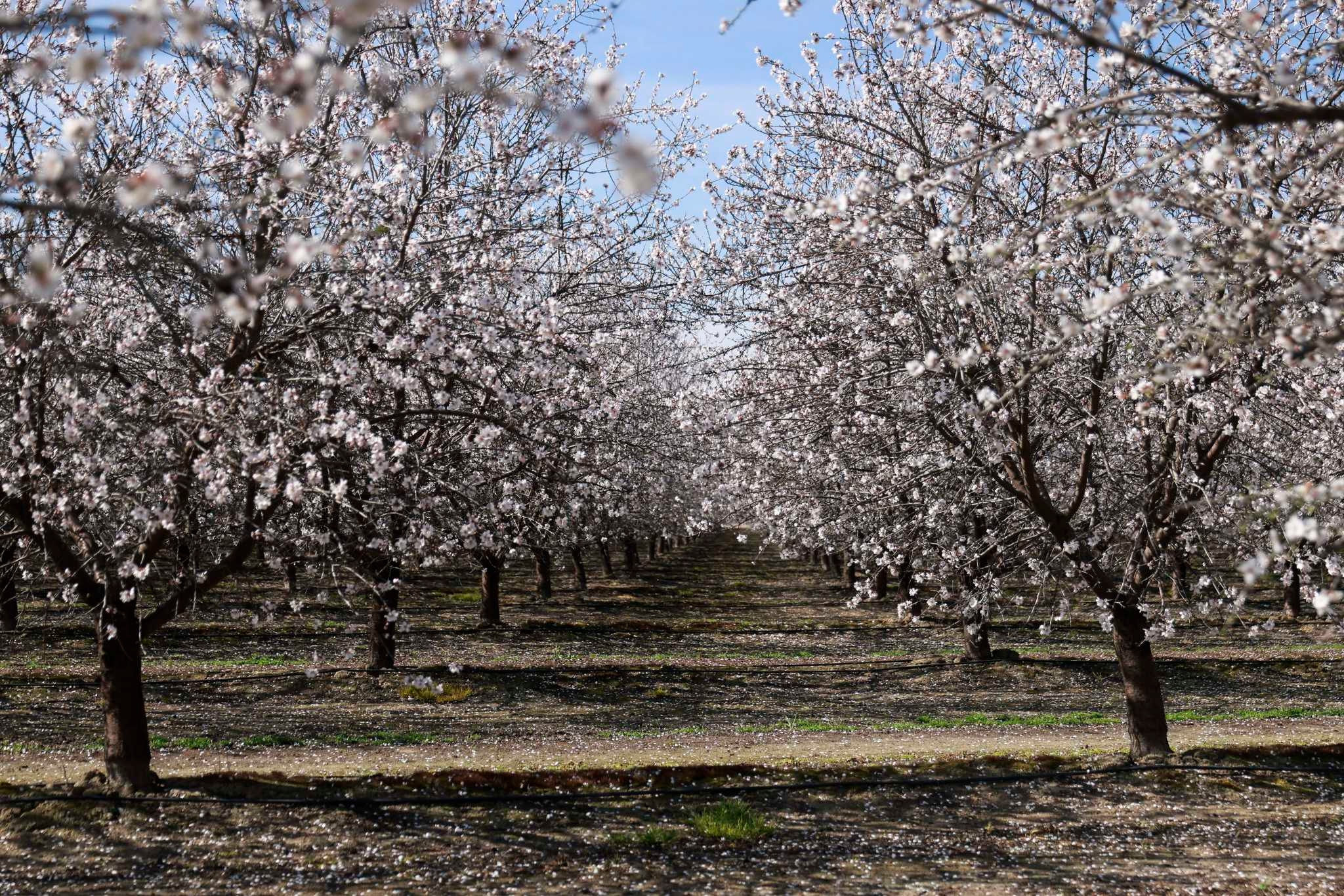 This small city is the fastest-growing in California