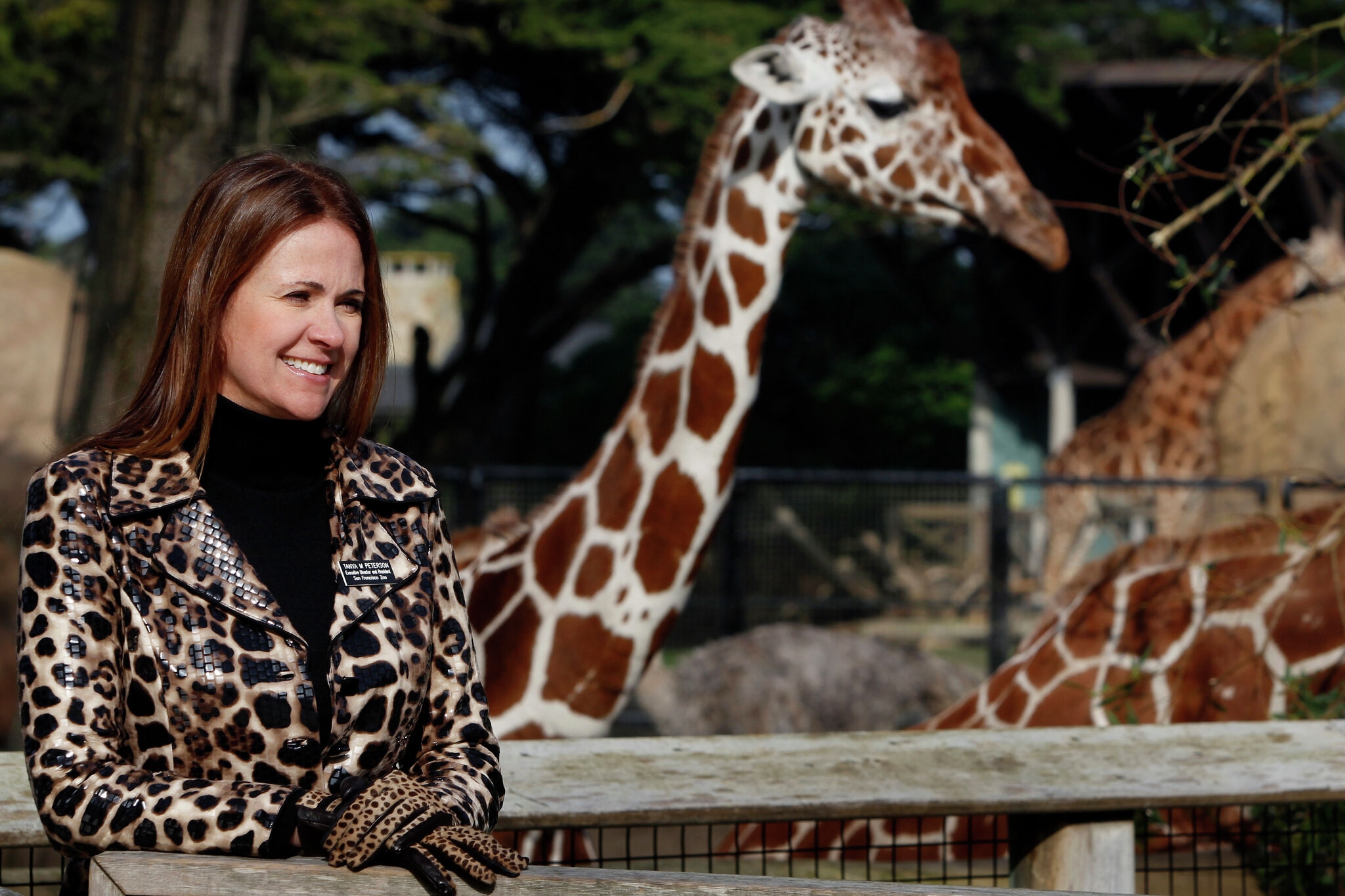 Exclusive: San Francisco Zoo board member resigns over lack of action on CEO