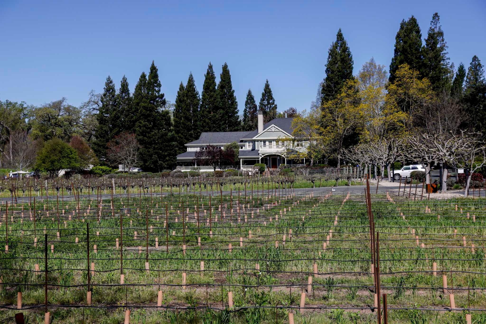 Napa Valley wine giant to close tasting rooms and consolidate its brands