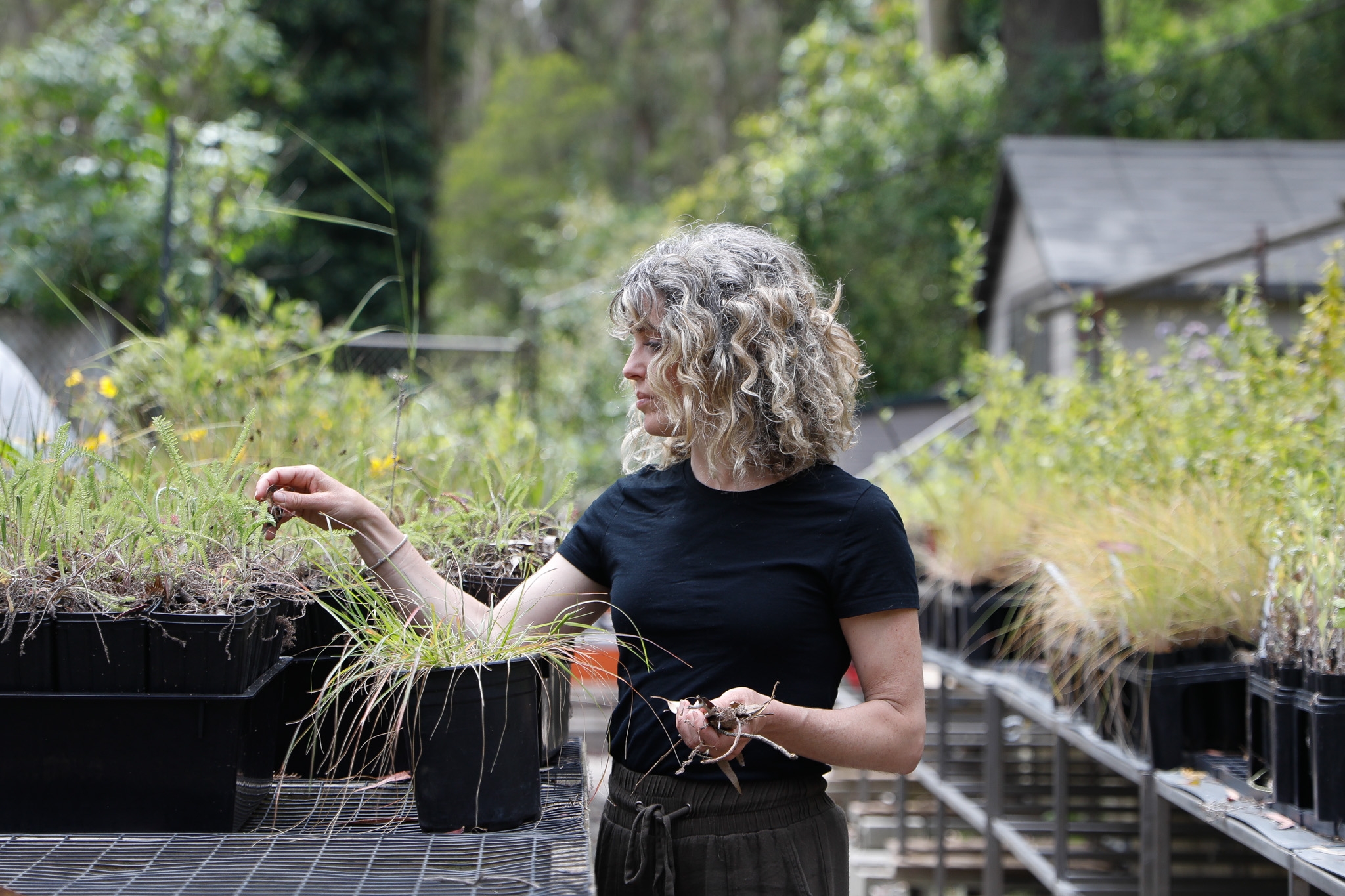 Imperiled community groups band together to save S.F. Parks Alliance. Is it too late?