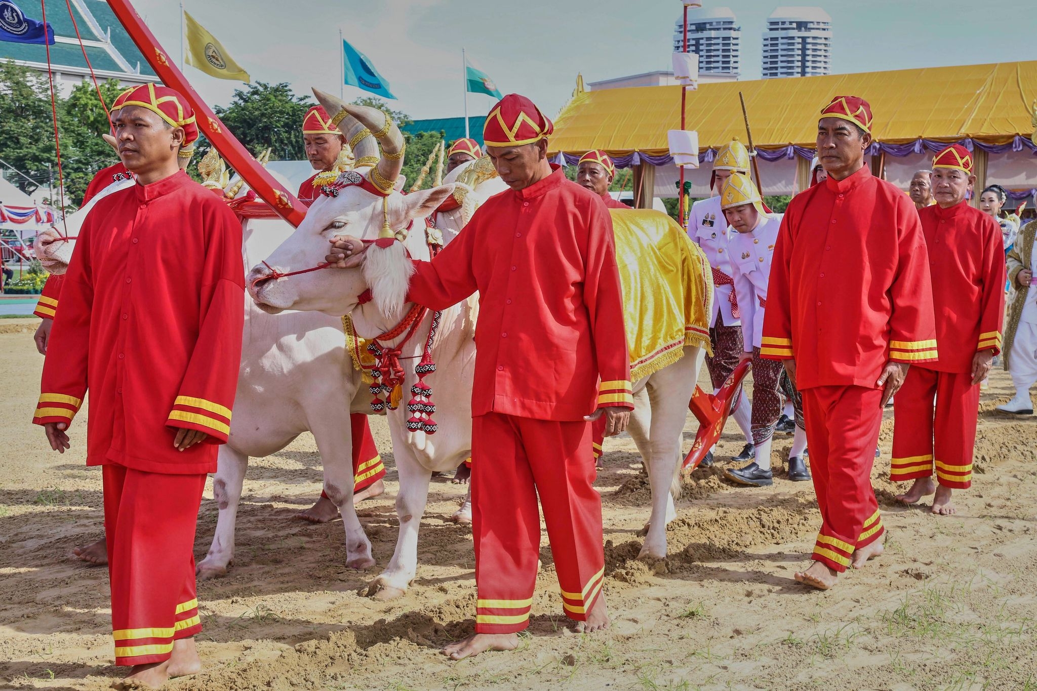 An elaborate centuries-old royal ritual in Thailand's capital predicts a good year for farmers